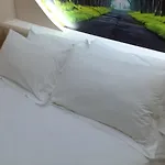 Hotel Green Hotel Vasqarr