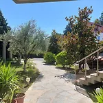 Hotel Green