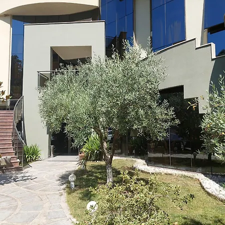 Hotel Hotel Green