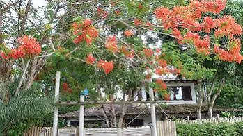 Hotel Green فندق